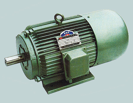YD Series Variable-pole-speed Three-phase Induction Motor